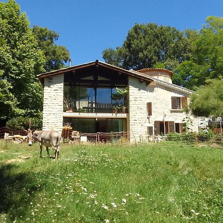 Les Favouilles - Gite & Chambres D Hotes Dauphin 외부 사진